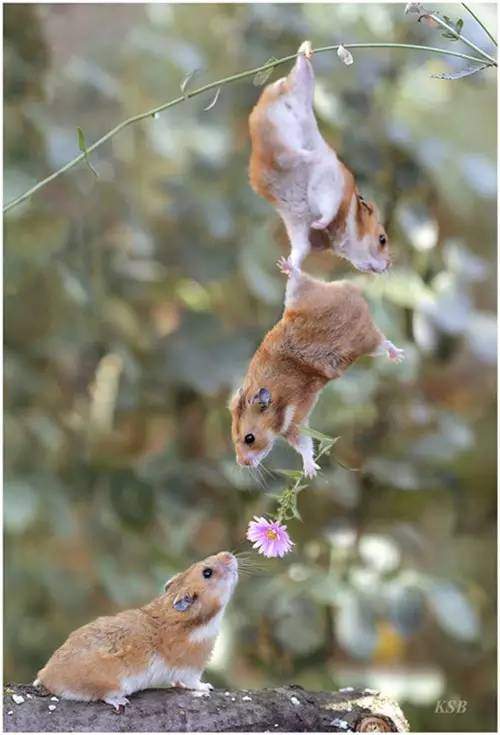 Working Together to Find The Right Life Coach For You