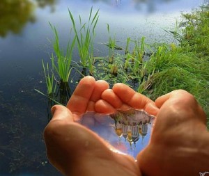 Achieving Coachable Goals are in your hands
