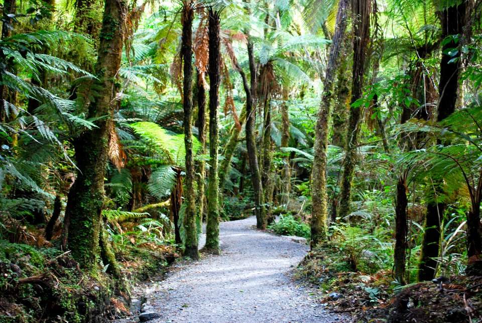 Path to Tony Robbins Coaching Costs