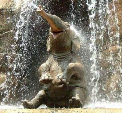 Life Balance in action