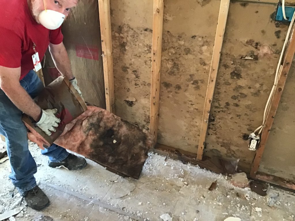 Christ In Action Free Disaster Relief Services volunteer clearing moldy insulation. Hurricane Ian 