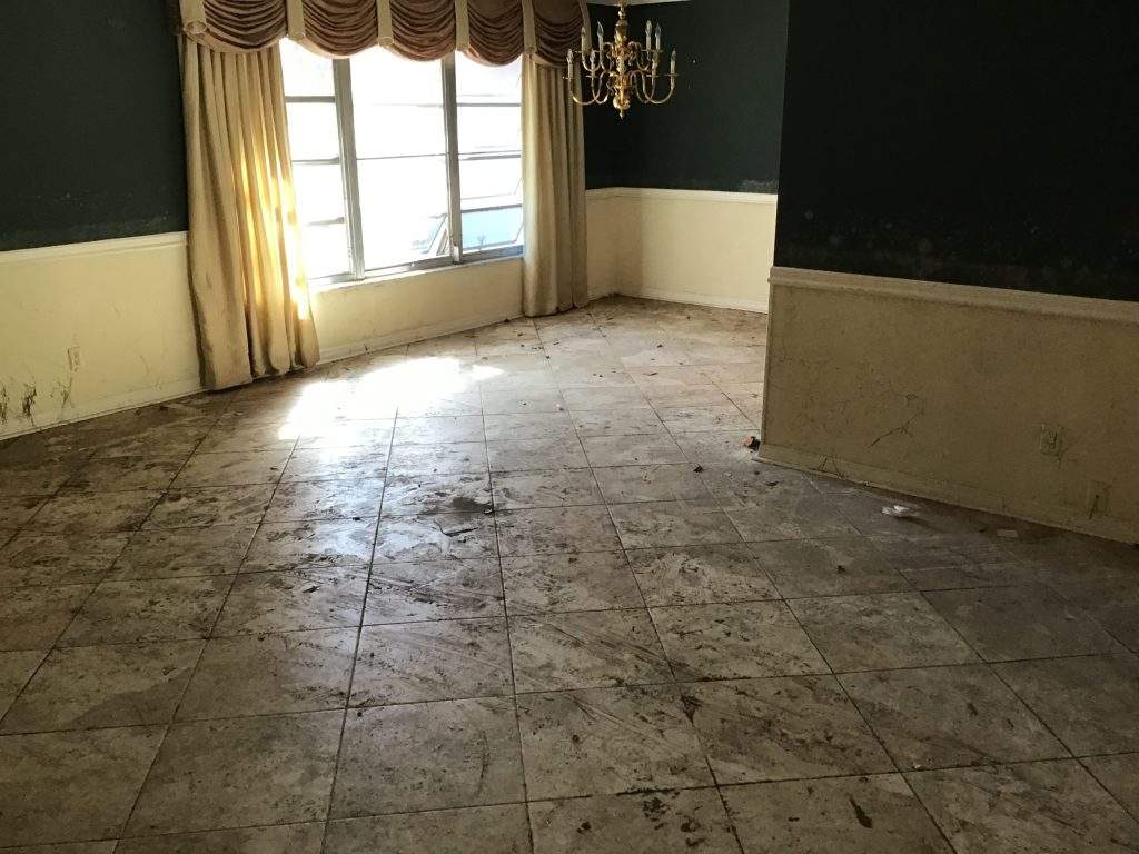 Living Room cleared by Shawn, Damon, & Dale, 
Before mold removal by Christ In Action