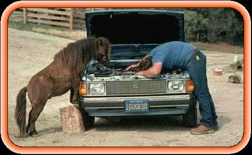 You have found the right job 