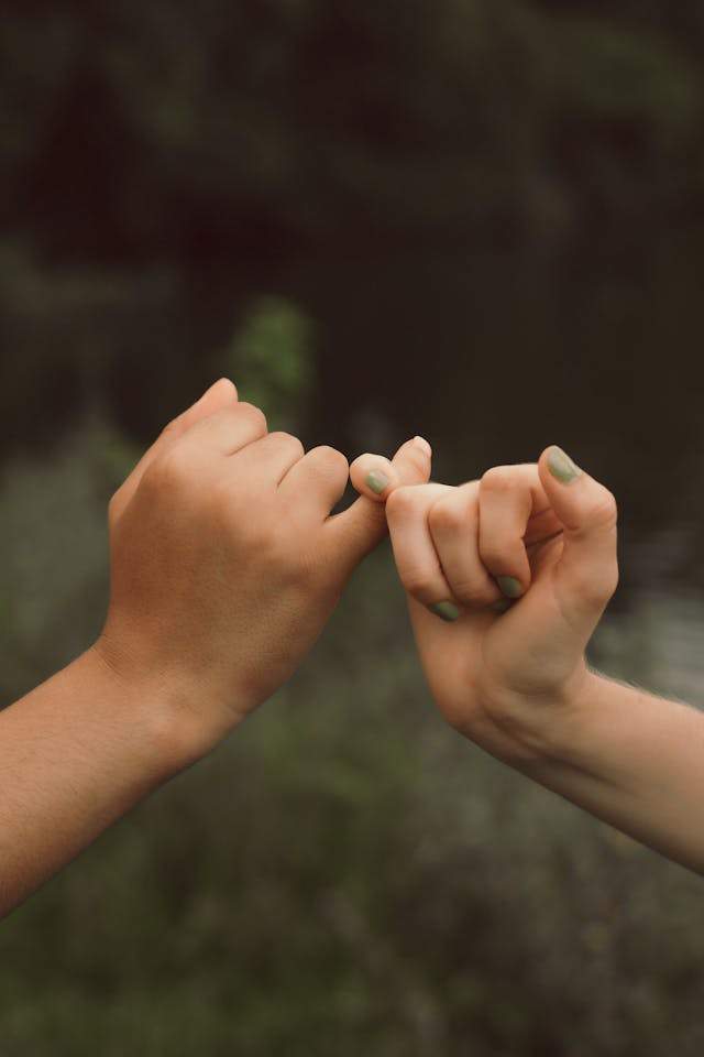 Life Coach Relationships Described