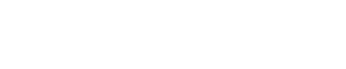 The Coach Connection